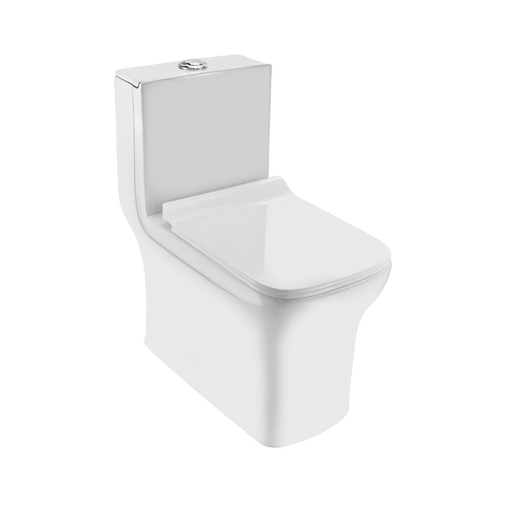 Essco Rimless Single Piece WC White finish