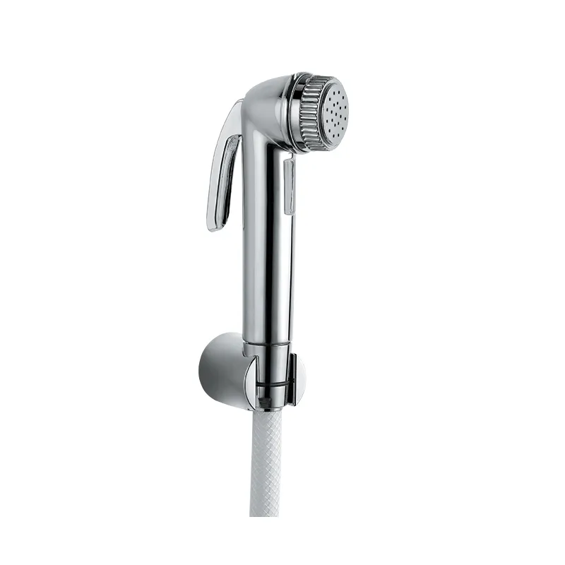 Essco Hand Shower Chrome finish
