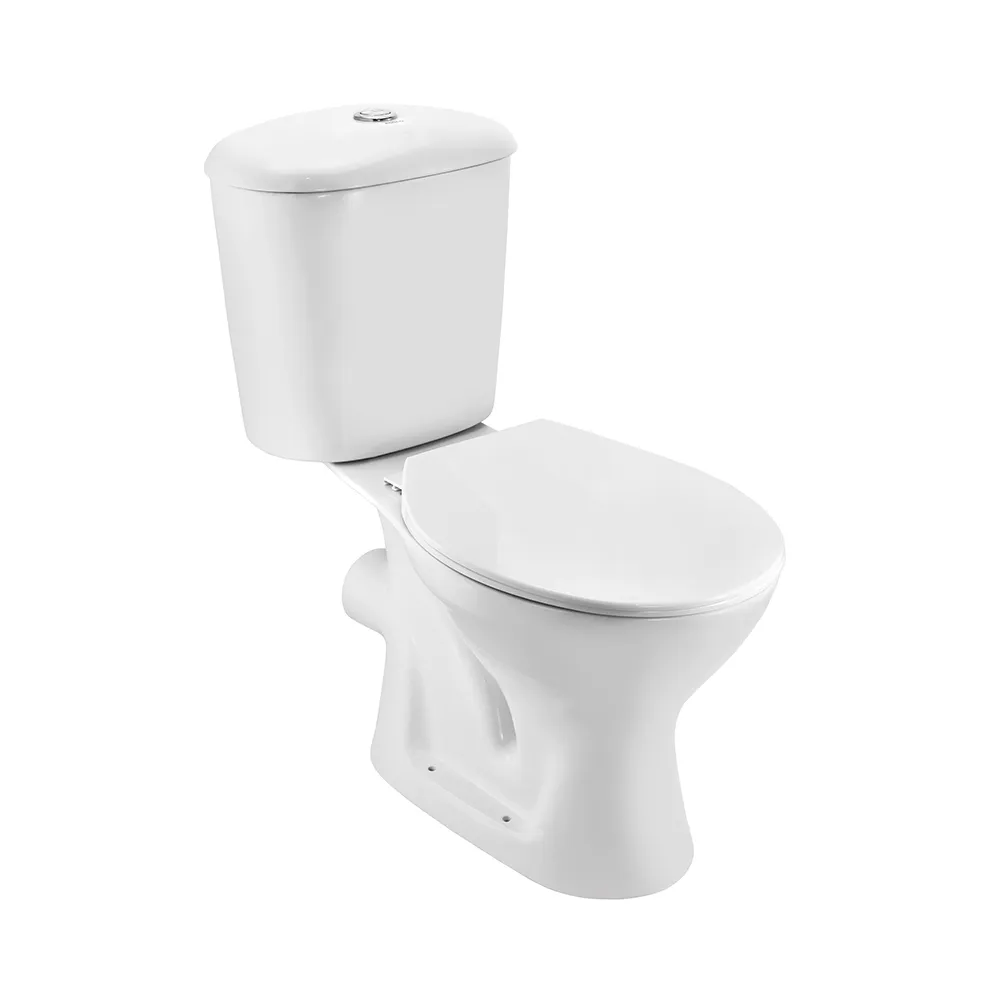 Essco Elements Bowl with cistern for Coupled WC White finish