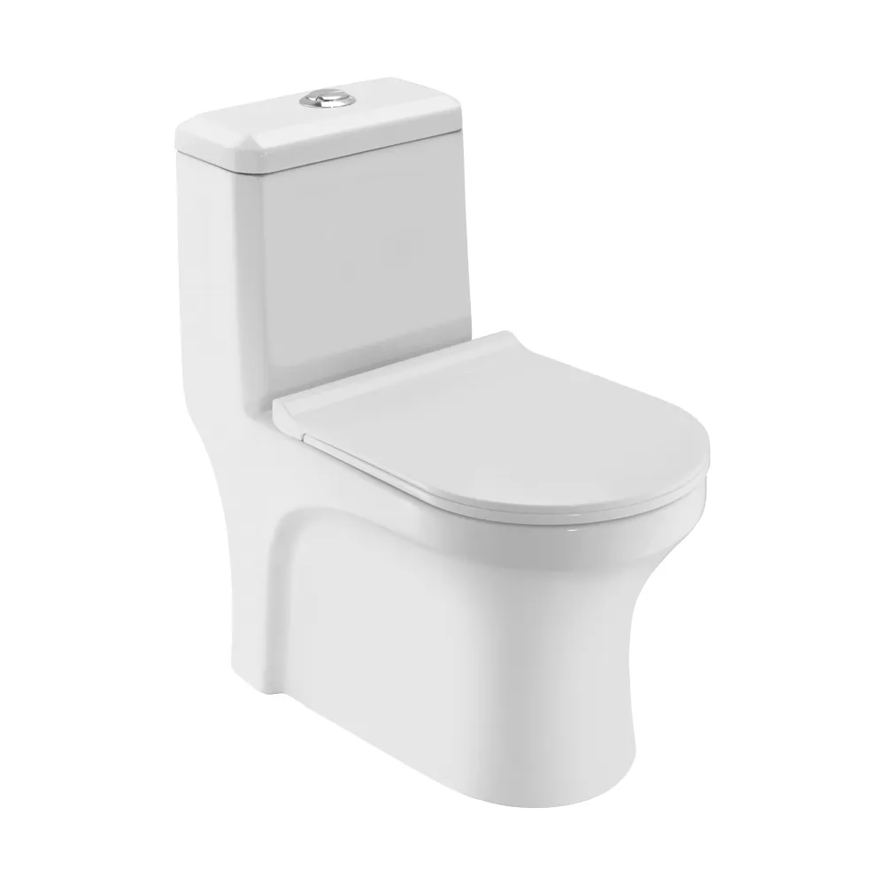 Essco Elements Single Piece WC White finish